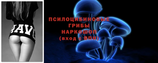 хмурый Семилуки