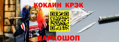 мет Кингисепп