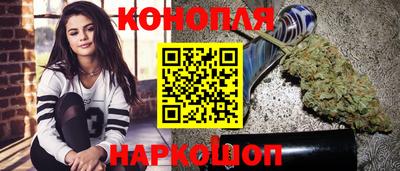 мет Кингисепп