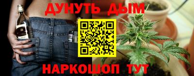 мет Кингисепп