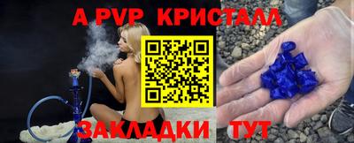 мет Кингисепп