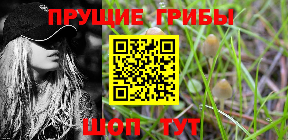 Псилоцибиновые грибы ЛСД  Псилоцибиновые грибы мухоморы  Кохма  Вход с VPN 