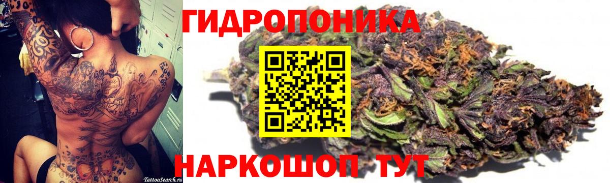 Каннабис сатива Кохма